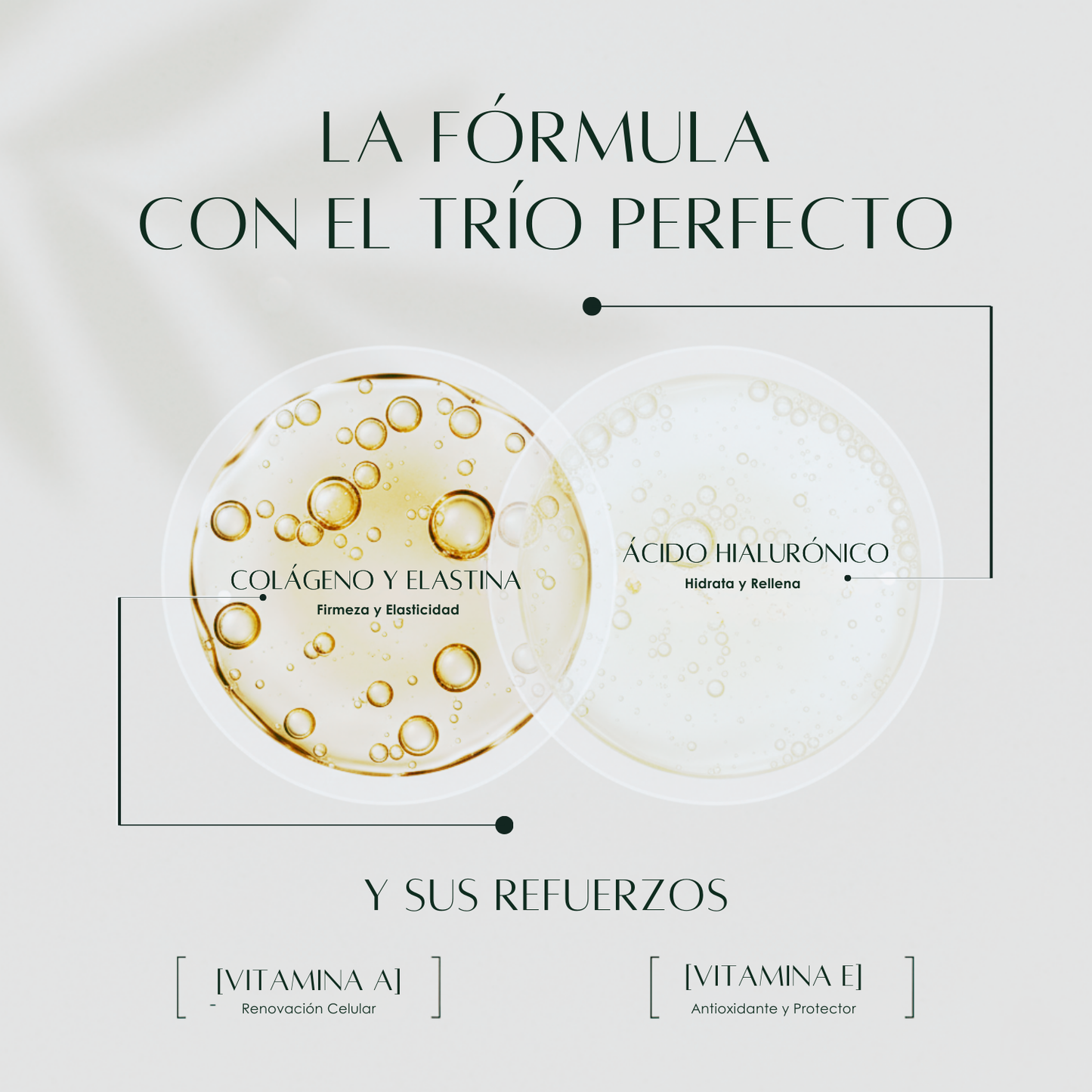 Crema Facial con Colágeno, Elastina y Ácido Hialurónico | Hidratación y Firmeza